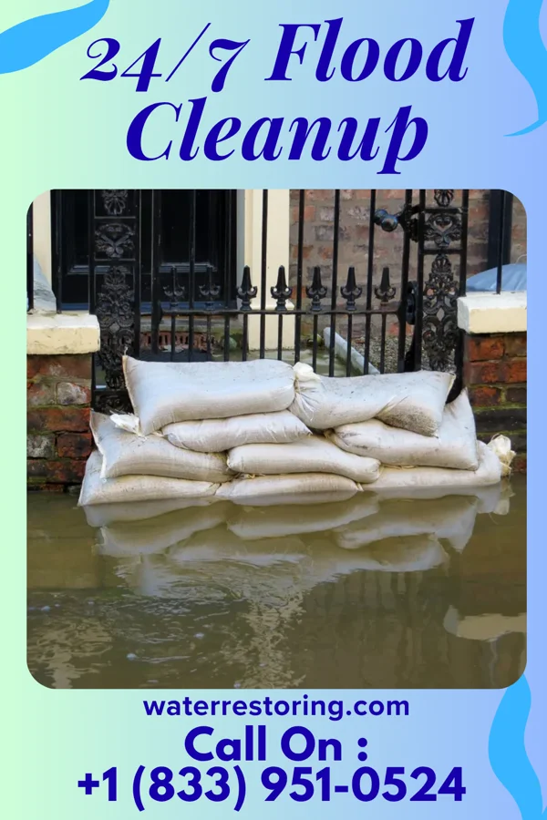 24/7 Flood Cleanup in Martinsville, IN