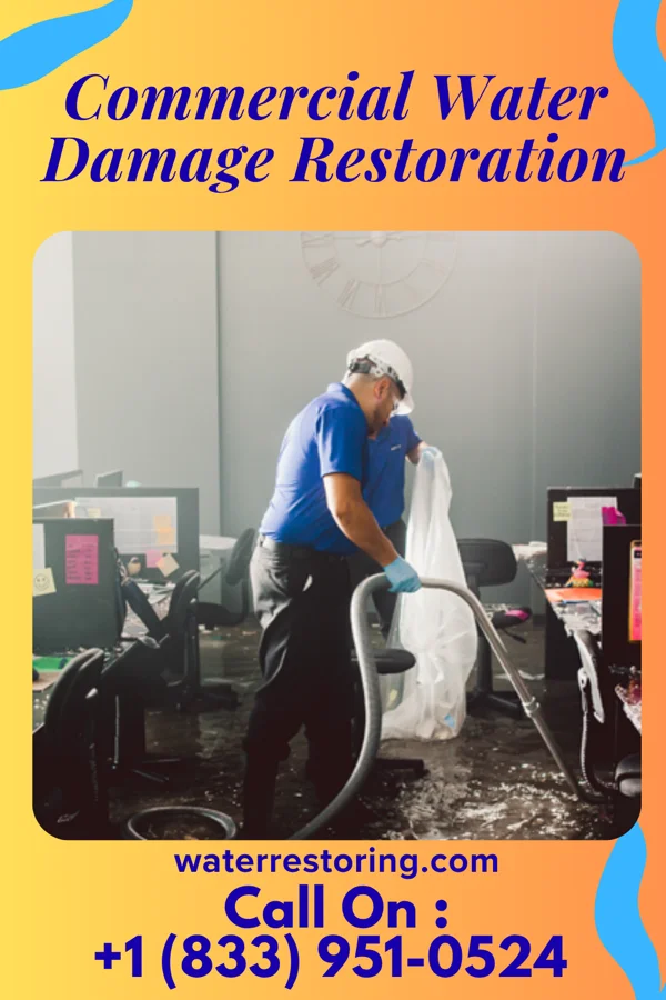 Commercial Water Damage Restoration in Martinsville, IN