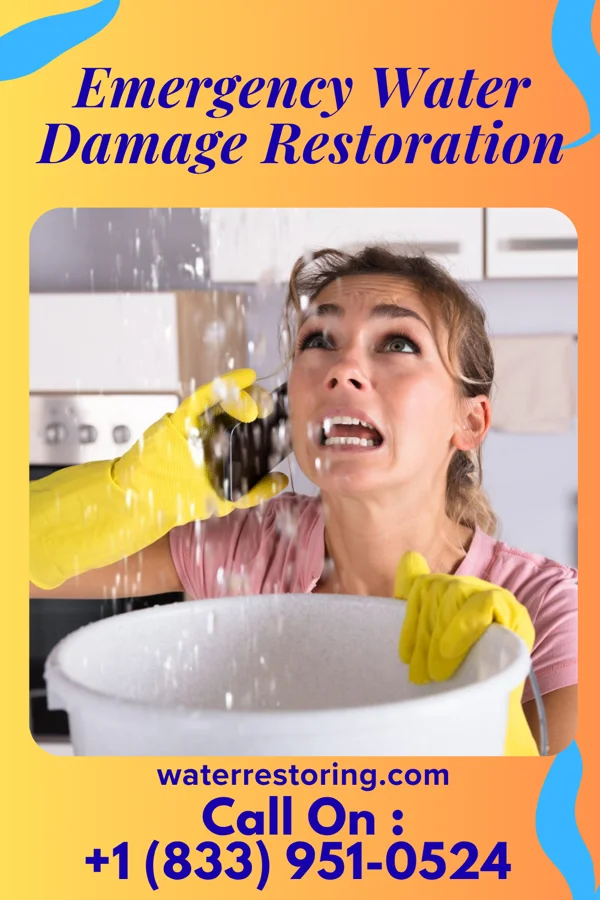 Emergency Water Damage Restoration in Martinsville, IN