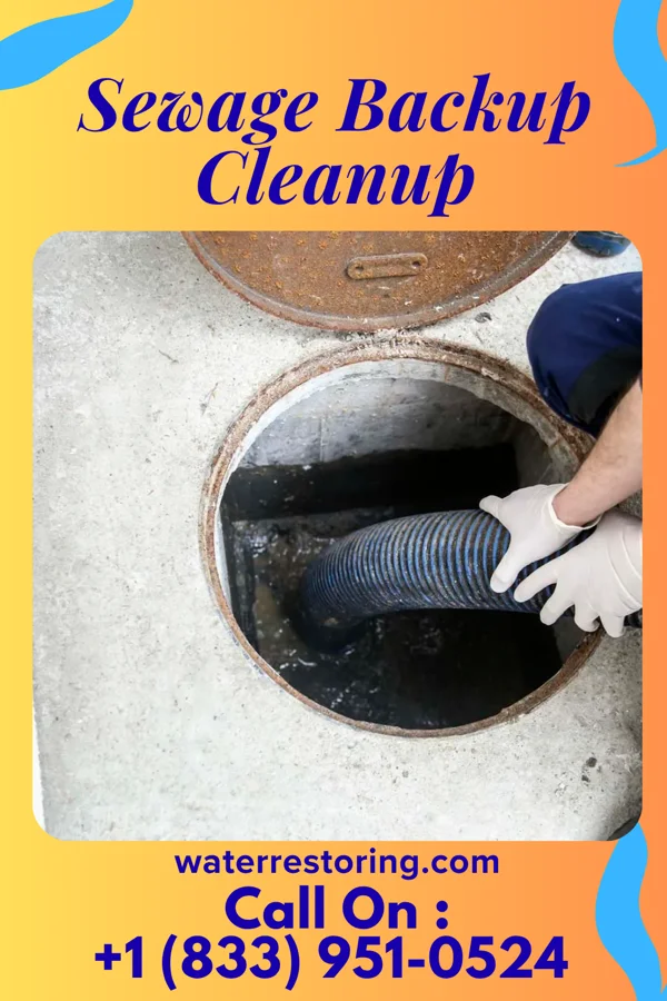 Sewage Backup Cleanup in Martinsville, IN