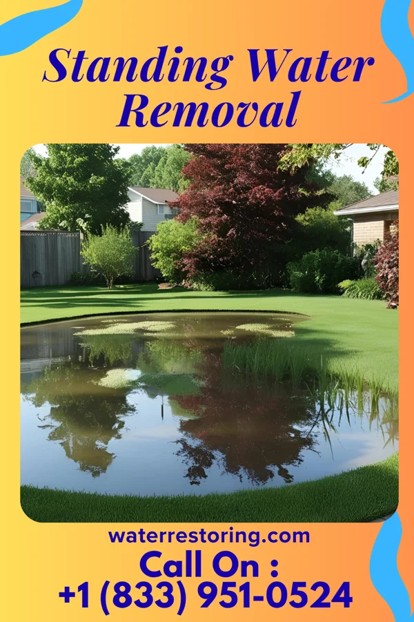 Standing Water Removal in Martinsville, IN
